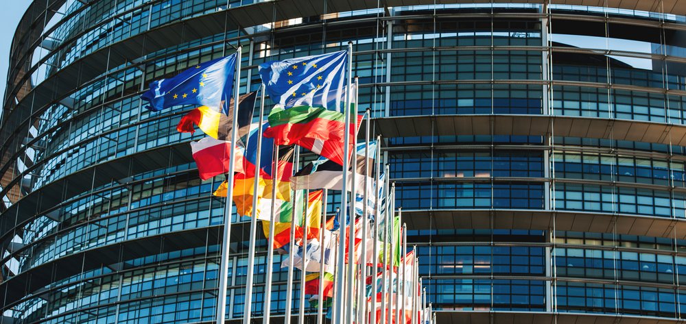All EU members flags in front of the European Parliament in Strasbourg, France. ID: 179573879